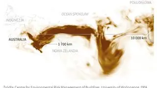 Dym z pożarów australijskiego buszu (Maciej Zieliński/PAP)