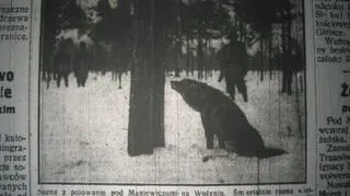 "Dziennik Białostocki" 27 lutego 1928 (mikrofilmy "Dziennika Białostockiego" w Książnicy Podlaskiej)