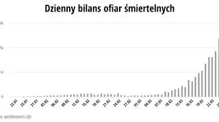 Dzienny bilans ofiar śmiertelnych