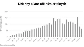 Dzienny bilans ofiar śmiertelnych (tvnmeteo.pl za worldometers.info)