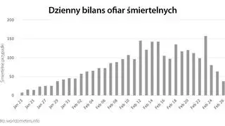 Dzienny bilans ofiar śmiertelnych (tvnmeteo