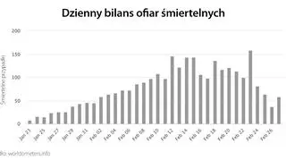 Dzienny bilans ofiar śmiertelnych (tvnmeteo.pl za worldometers.info)