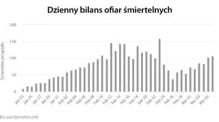 Dzienny bilans ofiar śmiertelnych (tvnmeteo