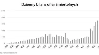 Dzienny bilans ofiar śmiertelnych (tvnmeteo.pl za worldometers.info)