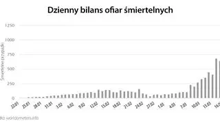 Dzienny bilans ofiar śmiertelnych (tvnmeteo.pl za worldometers.info)