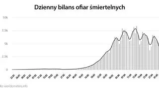 Dzienny bilans ofiar śmiertelnych (tvnmeteo.pl za worldometers.info)