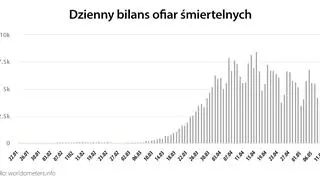 Dzienny bilans ofiar śmiertelnych (tvnmeteo