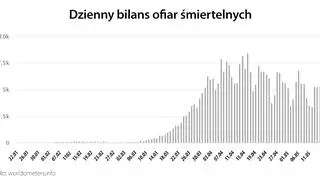 Dzienny bilans ofiar śmiertelnych (tvnmeteo