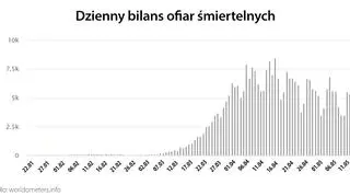 Dzienny bilans ofiar śmiertelnych (tvnmeteo