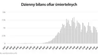 Dzienny bilans ofiar śmiertelnych (tvnmeteo.pl za worldometers.info)