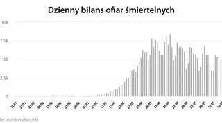 Dzienny bilans ofiar śmiertelnych (tvnmeteo