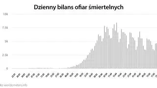 Dzienny bilans ofiar śmiertelnych (tvnmeteo