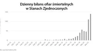Dzienny bilans ofiar śmiertelnych w Stanach Zjednoczonych (tvnmeteo.pl za worldometers.info)
