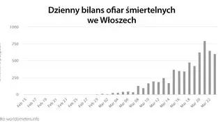 Dzienny bilans ofiar śmiertelnych we Włoszech (tvnmeteo.pl za worldometers.info)