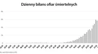 Dzienny bilans ofiar śmiertelnych (worldometers.info)