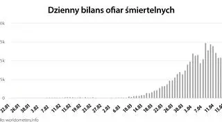 Dzienny bilans ofiar śmiertelnych (worldometers.info)