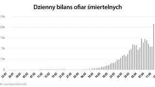 Dzienny bilans ofiar śmiertelnych (worldometers.info)