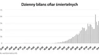 Dzienny bilans ofiar śmiertelnych (worldometers