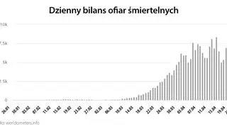 Dzienny bilans ofiar śmiertelnych (worldometers
