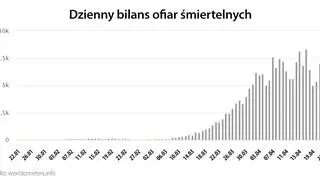 Dzienny bilans ofiar śmiertelnych (worldometers.info)
