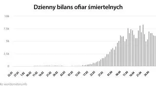 Dzienny bilans ofiar śmiertelnych (worldometers.info)