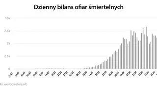 Dzienny bilans ofiar śmiertelnych (worldometers.info)