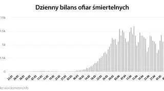 Dzienny bilans ofiar śmiertelnych (worldometers