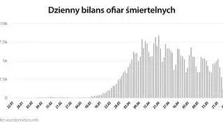 Dzienny bilans ofiar śmiertelnych (worldometers