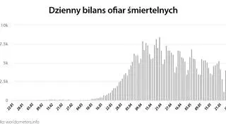 Dzienny bilans ofiar śmiertelnych (worldometers