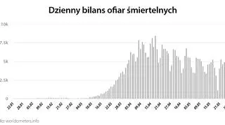 Dzienny bilans ofiar śmiertelnych (worldometers
