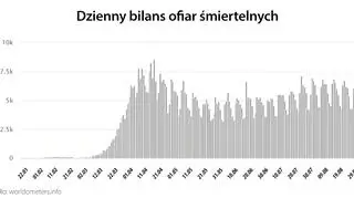 Dzienny bilans ofiar śmiertelnych (worldometers.info)