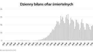 Dzienny bilans ofiar śmiertelnych (worldometers