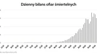 Dzienny bilans ofiar śmiertelnych (worldometers.info)