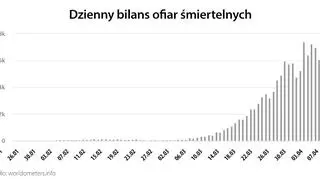 Dzienny bilans ofiar śmiertelnych (worldometers.info)
