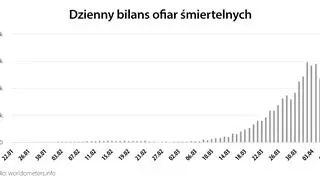 Dzienny bilans ofiar śmiertelnych (worldometers