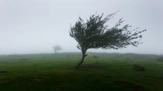 Dziwne, nietypowe zjawiska pogodowe