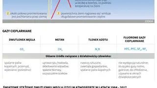 Efekt cieplarniany (PAP/Maria Samczuk)