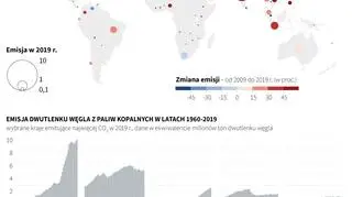 Emisja CO2 na świecie (PAP/AFP/Maria Samczuk)