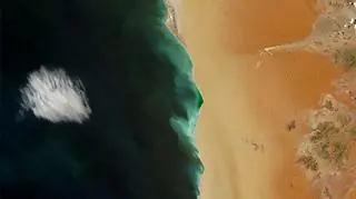 Emisja siarkowodoru zabarwiła na zielono wody u wybrzeża Namibii (NASA)