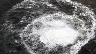epa02970732.jpg