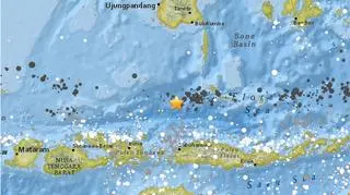 Epicentrum trzęsienia ziemi w Indonezji (USGS)
