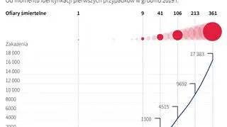 Epidemia koronawirusa na świecie - stan na 3 lutego 2020 (PAP/Adam Ziemienowicz)