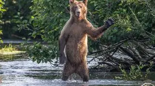 Eric Fisher/Comedy Wildlife Photo Awards 2020