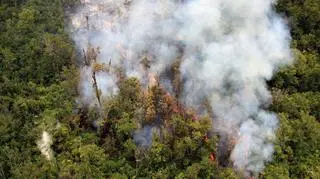 Erupcja hawajskiego wulkanu Kilauea