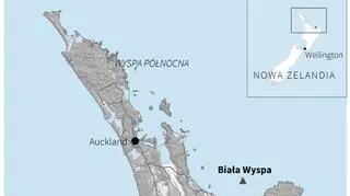 Erupcja wulkanu w Nowej Zelandii (PAP/Adam Ziemienowicz)