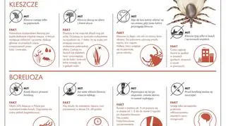 Fakty i mity o kleszczach (Lasy Państwowe)