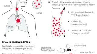 Fakty o grypie (Maciej Zieliński/PAP)