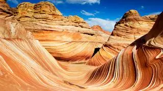 Fala (Arizona)