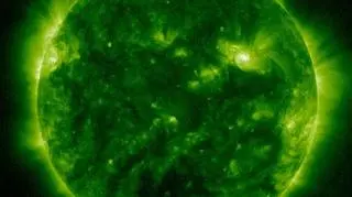  Fala o długości 94 A (NASA/SDO/GSFC)