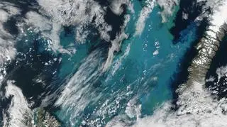 Fitoplankton na Morzu Barentsa (earthobservatory.nasa.gov)